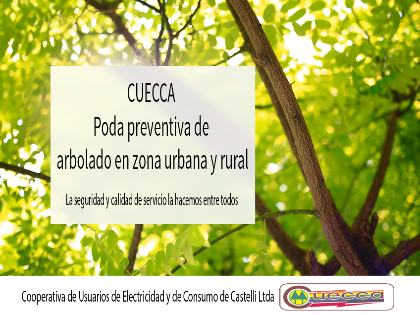 COMENZARON LAS TAREAS DE PODA PREVENTIVA
